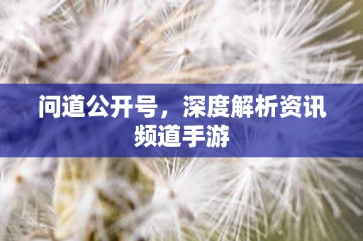 问道公开号，深度解析资讯频道手游