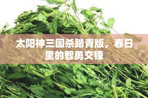 太阳神三国杀踏青版，春日里的智勇交锋