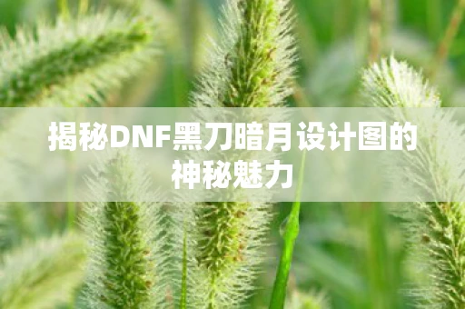 揭秘DNF黑刀暗月设计图的神秘魅力