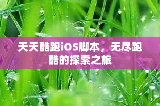 天天酷跑iOS脚本，无尽跑酷的探索之旅