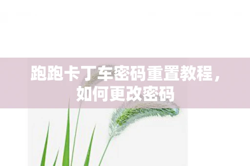 跑跑卡丁车密码重置教程，如何更改密码
