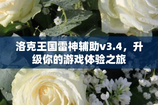 洛克王国雷神辅助v3.4，升级你的游戏体验之旅