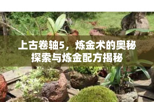 上古卷轴5，炼金术的奥秘探索与炼金配方揭秘