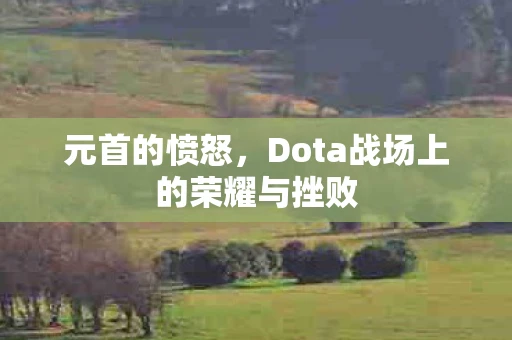 元首的愤怒，Dota战场上的荣耀与挫败