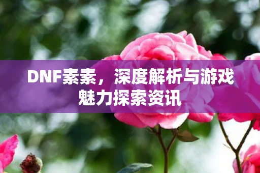 DNF素素，深度解析与游戏魅力探索资讯