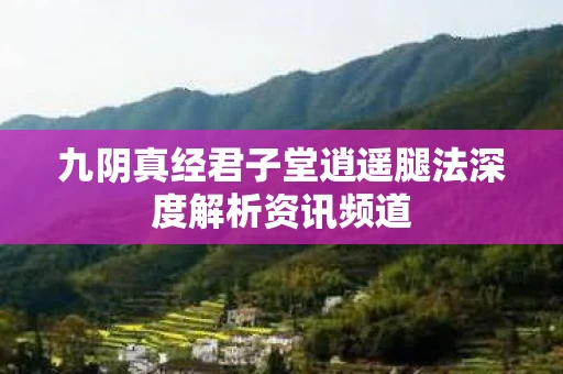 九阴真经君子堂逍遥腿法深度解析资讯频道