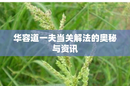 华容道一夫当关解法的奥秘与资讯