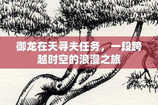 御龙在天寻夫任务，一段跨越时空的浪漫之旅
