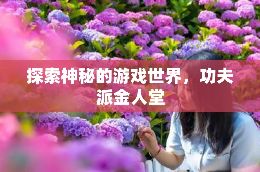 探索神秘的游戏世界，功夫派金人堂