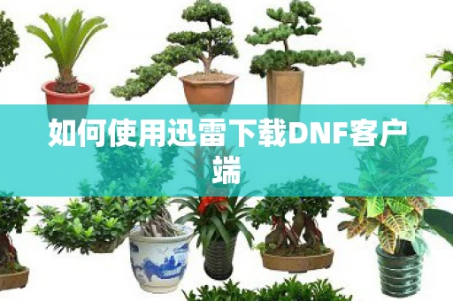 如何使用迅雷下载DNF客户端图片