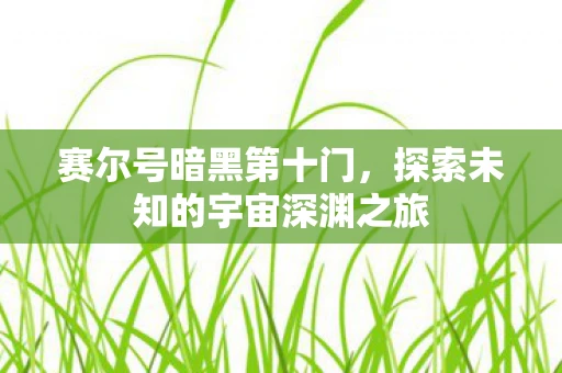 赛尔号暗黑第十门，探索未知的宇宙深渊之旅