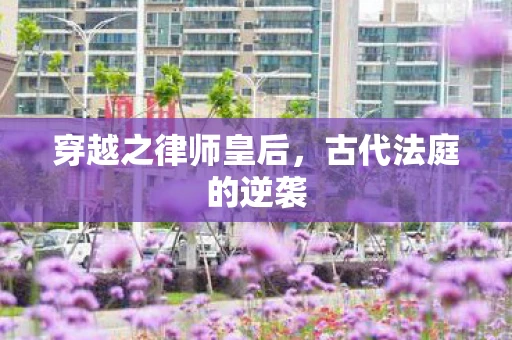 穿越之律师皇后，古代法庭的逆袭