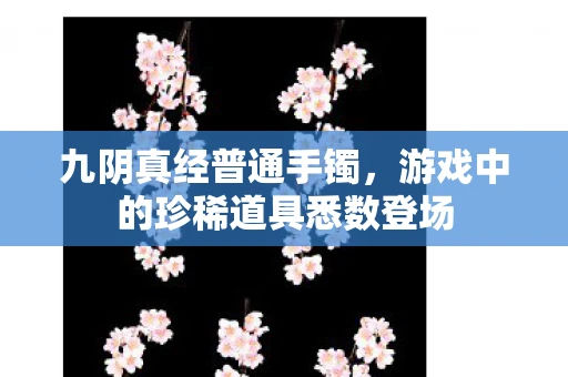 九阴真经普通手镯，游戏中的珍稀道具悉数登场