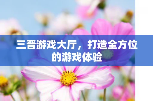 三晋游戏大厅，打造全方位的游戏体验