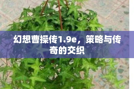 幻想曹操传1.9e，策略与传奇的交织