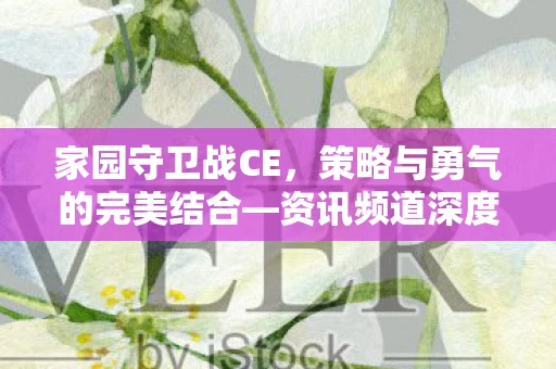 家园守卫战CE，策略与勇气的完美结合—资讯频道深度解析