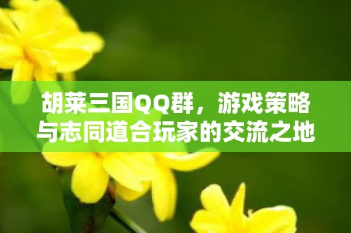 胡莱三国QQ群，游戏策略与志同道合玩家的交流之地