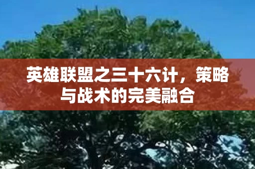 策略与战术的完美融合图片
