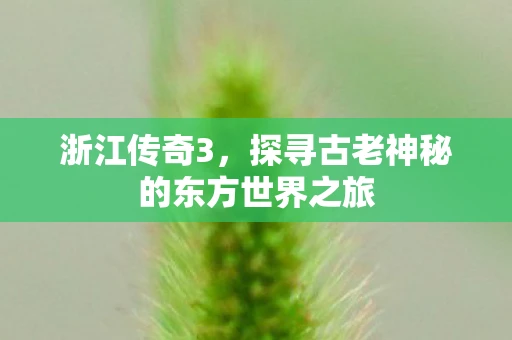 浙江传奇3，探寻古老神秘的东方世界之旅