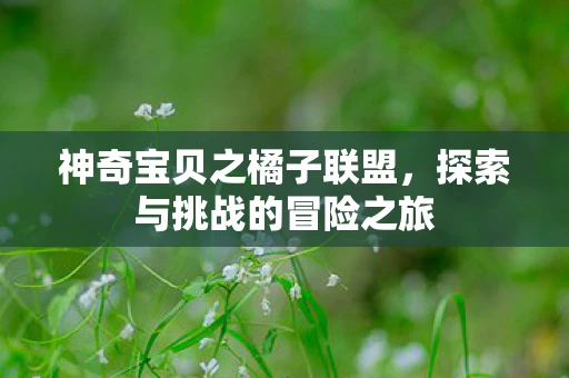 神奇宝贝之橘子联盟，探索与挑战的冒险之旅