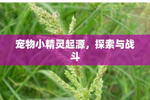 宠物小精灵起源，探索与战斗