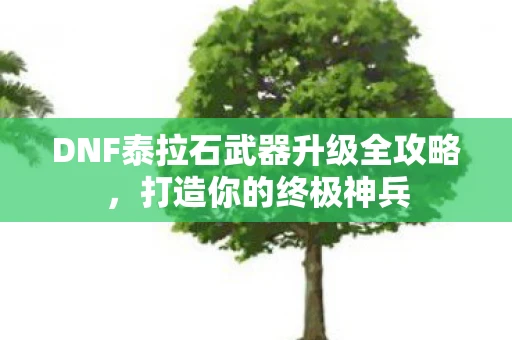 DNF泰拉石武器升级全攻略，打造你的终极神兵