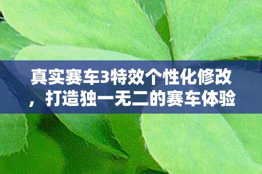 真实赛车3特效个性化修改，打造独一无二的赛车体验