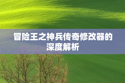 冒险王之神兵传奇修改器的深度解析