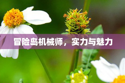 冒险岛机械师，实力与魅力