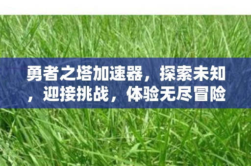 勇者之塔加速器，探索未知，迎接挑战，体验无尽冒险