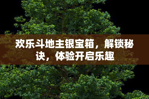 欢乐斗地主银宝箱，解锁秘诀，体验开启乐趣