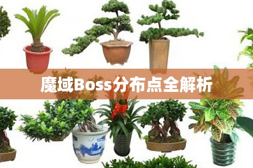 魔域Boss分布点全解析图片