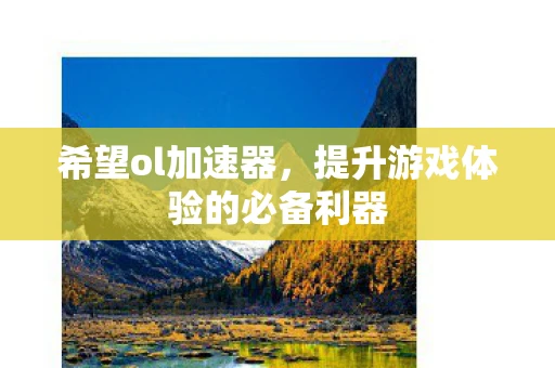 希望ol加速器，提升游戏体验的必备利器