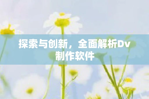 探索与创新，全面解析Dv制作软件