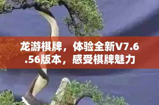 龙游棋牌，体验全新V7.6.56版本，感受棋牌魅力