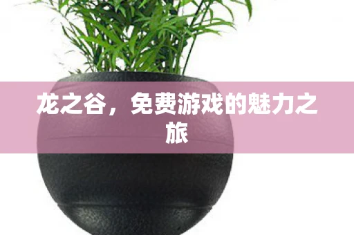 龙之谷，免费游戏的魅力之旅