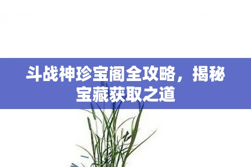 斗战神珍宝阁全攻略，揭秘宝藏获取之道