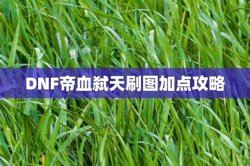 DNF帝血弑天刷图加点攻略