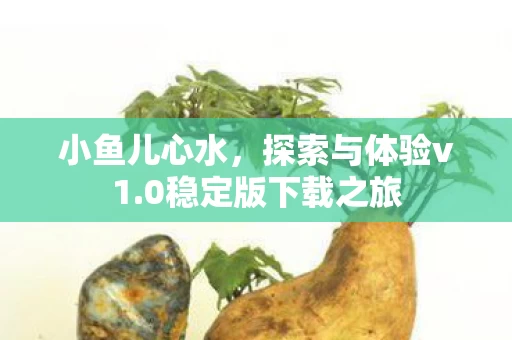 0稳定版下载之旅图片