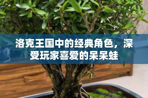 洛克王国中的经典角色，深受玩家喜爱的呆呆蛙