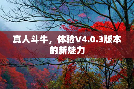 真人斗牛，体验V4.0.3版本的新魅力