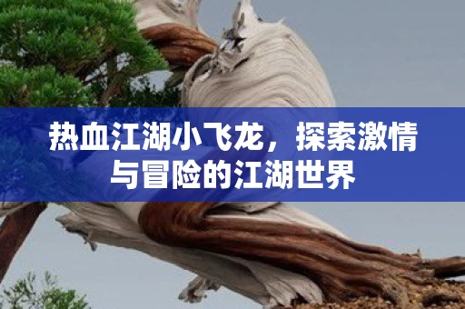 热血江湖小飞龙，探索激情与冒险的江湖世界