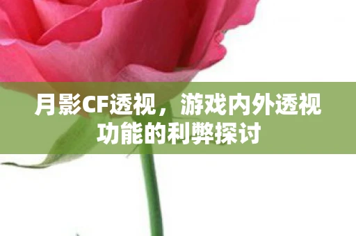 月影CF透视，游戏内外透视功能的利弊探讨