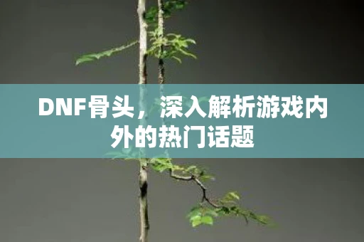 DNF骨头，深入解析游戏内外的热门话题
