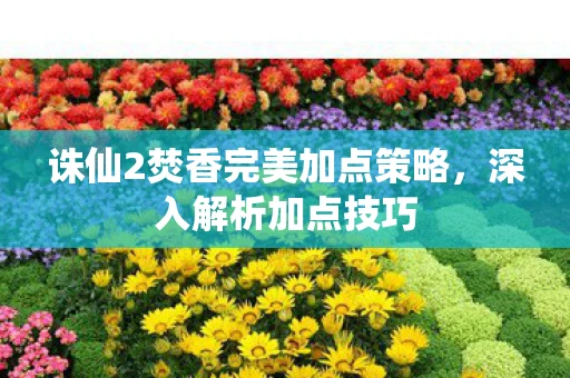 诛仙2焚香完美加点策略，深入解析加点技巧