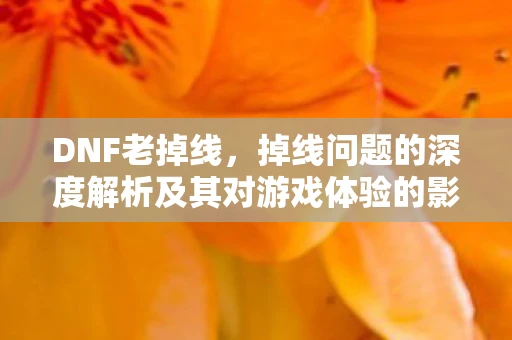 DNF老掉线，掉线问题的深度解析及其对游戏体验的影响