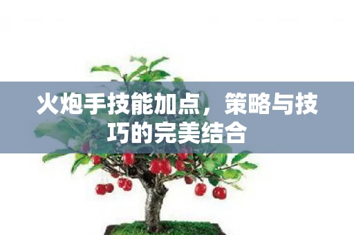 策略与技巧的完美结合图片