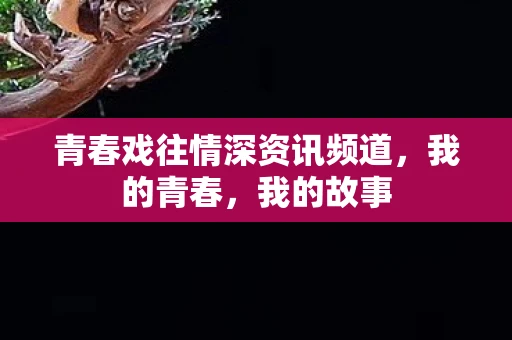 青春戏往情深资讯频道，我的青春，我的故事