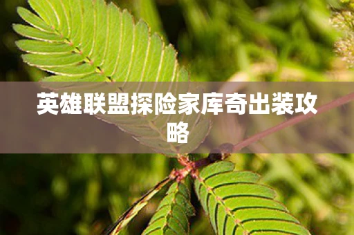 英雄联盟探险家库奇出装攻略