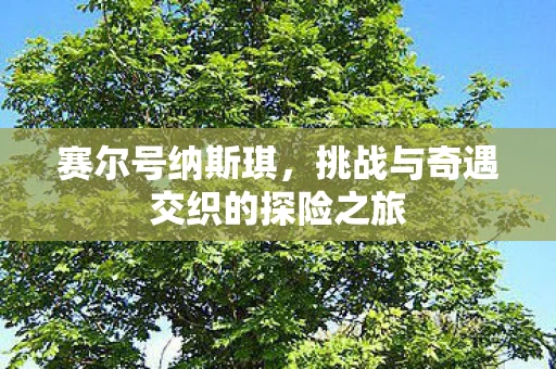 赛尔号纳斯琪，挑战与奇遇交织的探险之旅